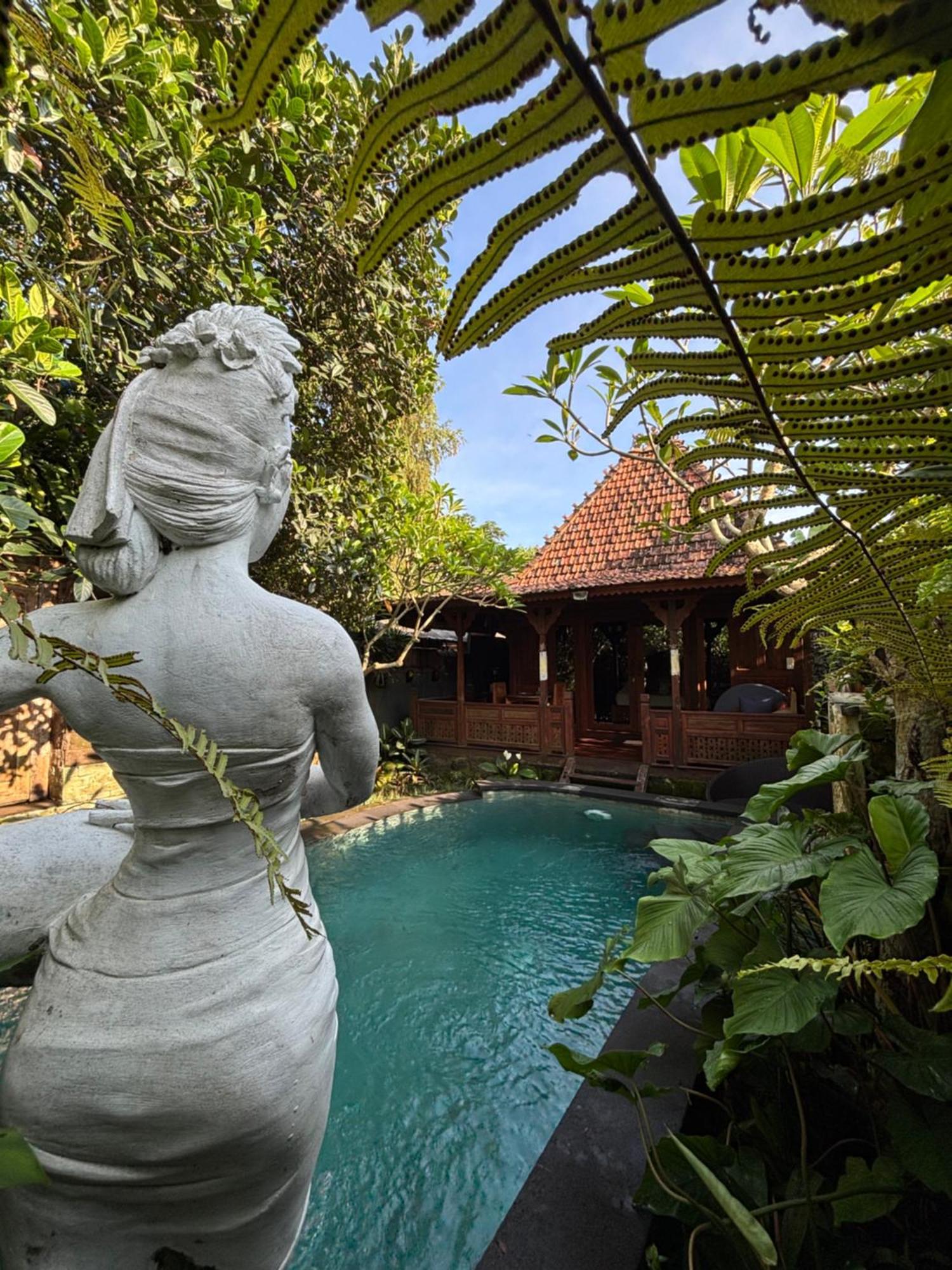 Bumbung Sari Villa Ubud  Exterior photo