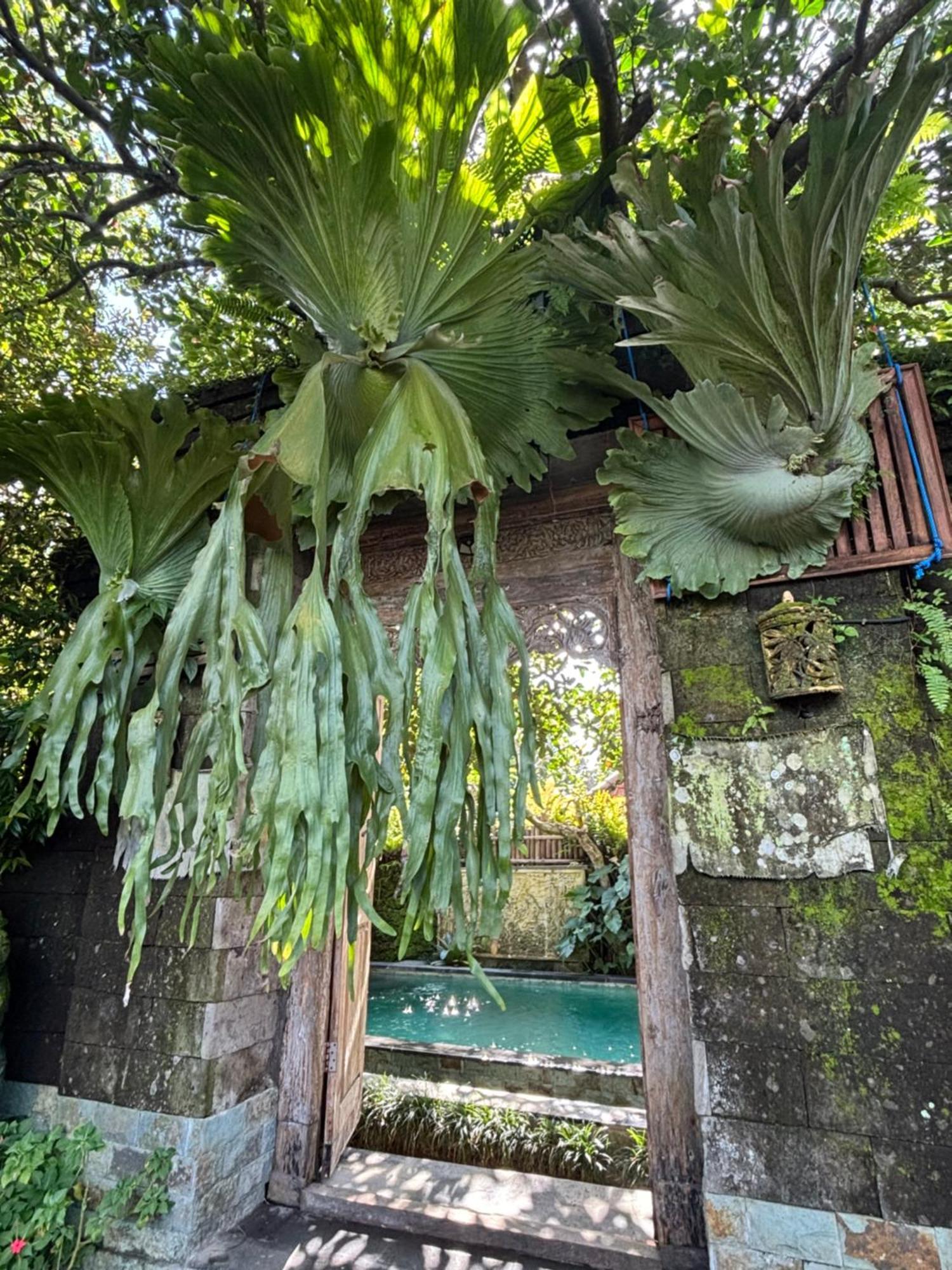 Bumbung Sari Villa Ubud  Exterior photo
